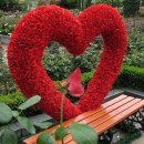 새만금 청보리농장 이미지