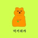 스테이 일상 네이버블로그