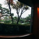 꼬기꼬기 이미지