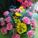 가나화원 이미지