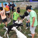 청남초등학교 이미지