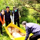 농업회사법인 남해(주) 이미지