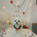 늘이쁘개 이미지