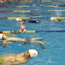 라이프가드 이미지