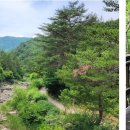 솔향수목원(솔숲광장) 이미지