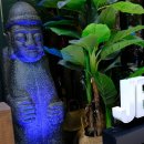 분당-240 이미지