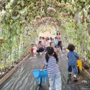 광양초원어린이집 이미지