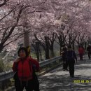 지리산(대구) 이미지