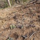 해님농장 이미지