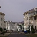 삼일개발