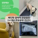 펫 월드 | 강아지 건강검진 버디닥 동물병원 양천구 24시 월드펫동물메디컬센터 후기