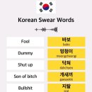 Korean swear words 이미지