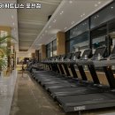 포천통키 이미지