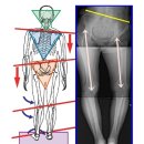 대들보정형외과의원 이미지