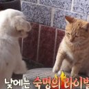 월 이미지