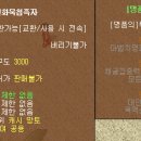 선화명품 네이버블로그