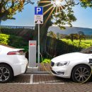 다이나믹 이미지