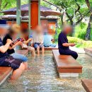 “입장·주차 전부 무료입니다”... 한겨울에도 운영하는 53°C 국내 천연 온천지 이미지