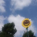 미란농장 이미지