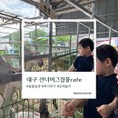 카페그집 | 대구 아이랑 가볼만한곳 | 수성구 산너머그집 꿀카페 동물체험 후기