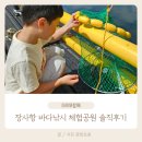 나곡바다낚시공원 | 속초 아이와 함께 장사항 바다낚시체험공원 낚시체험 솔직한 후기