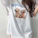 디어댕댕 이미지