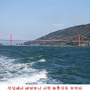 대도유료낚시터 이미지