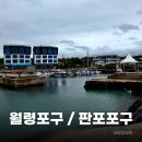 판포바람 | 제주 스노클링 명소 어디가 좋을까｜비 온 직후 월령포구 vs 판포포구 솔직 후기
