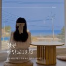 해안로1973 이미지