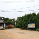 푸른 이미지
