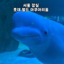 지니메디칼 | 서울 잠실 롯데월드 아쿠아리움 할인 방법 및 솔직후기