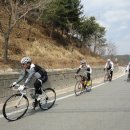 동네한바퀴 Daum카페