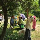 나무와새어린이집 이미지