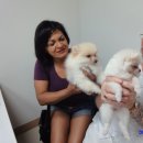 백두동물병원 이미지