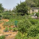 서구-01-15 이미지