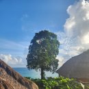 명덕리 자연휴양지 간이화장실 | 빈탄 여행｜반얀트리 빈탄 레인포레스트 오션프런트 빌라 2베드룸 솔직 후기후기~! (온라인체크인, 왓츠앱)