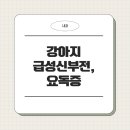 금샘동물병원 이미지