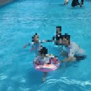 오션포레 | 경남 고성 단체숙소 추천 오션포레 글램핑 솔직 후기