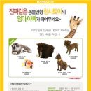 진짜체험단 네이버블로그
