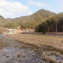 과수원민박 이미지