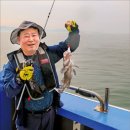 국민힐링 이미지