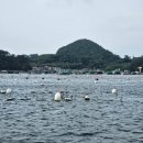 구산면716 이미지