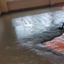 나은병원 신관(2) 이미지