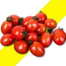 토마토 이미지