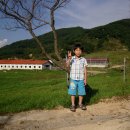 소백산청정한우 이미지