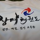 장대태권도 이미지