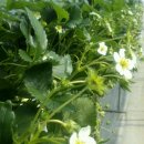 용범농장 이미지