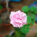 대곡빅마트 이미지