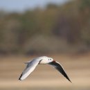 청한노인전문요양원 이미지