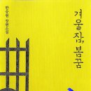 봄꿈